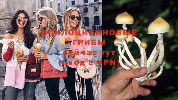 ешки Абинск