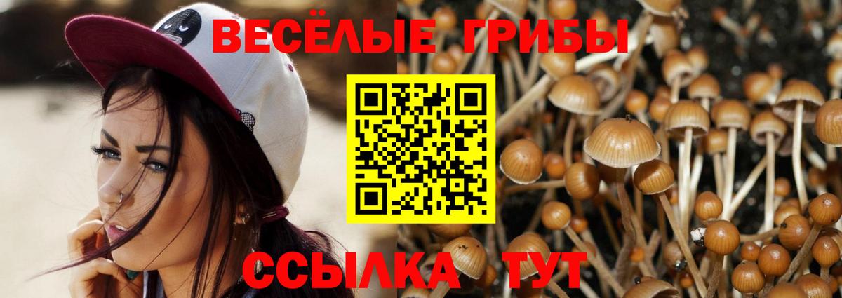 Кимовск  Псилоцибиновые грибы ЛСД  Вход с VPN 